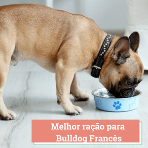 Melhor Ração para Bulldog Francês | Guia 2024
