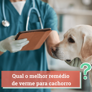 Melhores Remédios de Verme Para Cachorro | Guia 2024