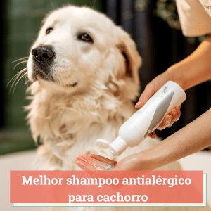 melhor shampoo antialérgico para cachorro